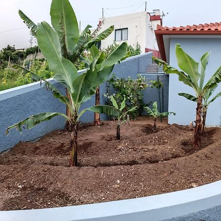 Calheta Paradise Holiday Home Arco da Calheta  Ngoại thất bức ảnh