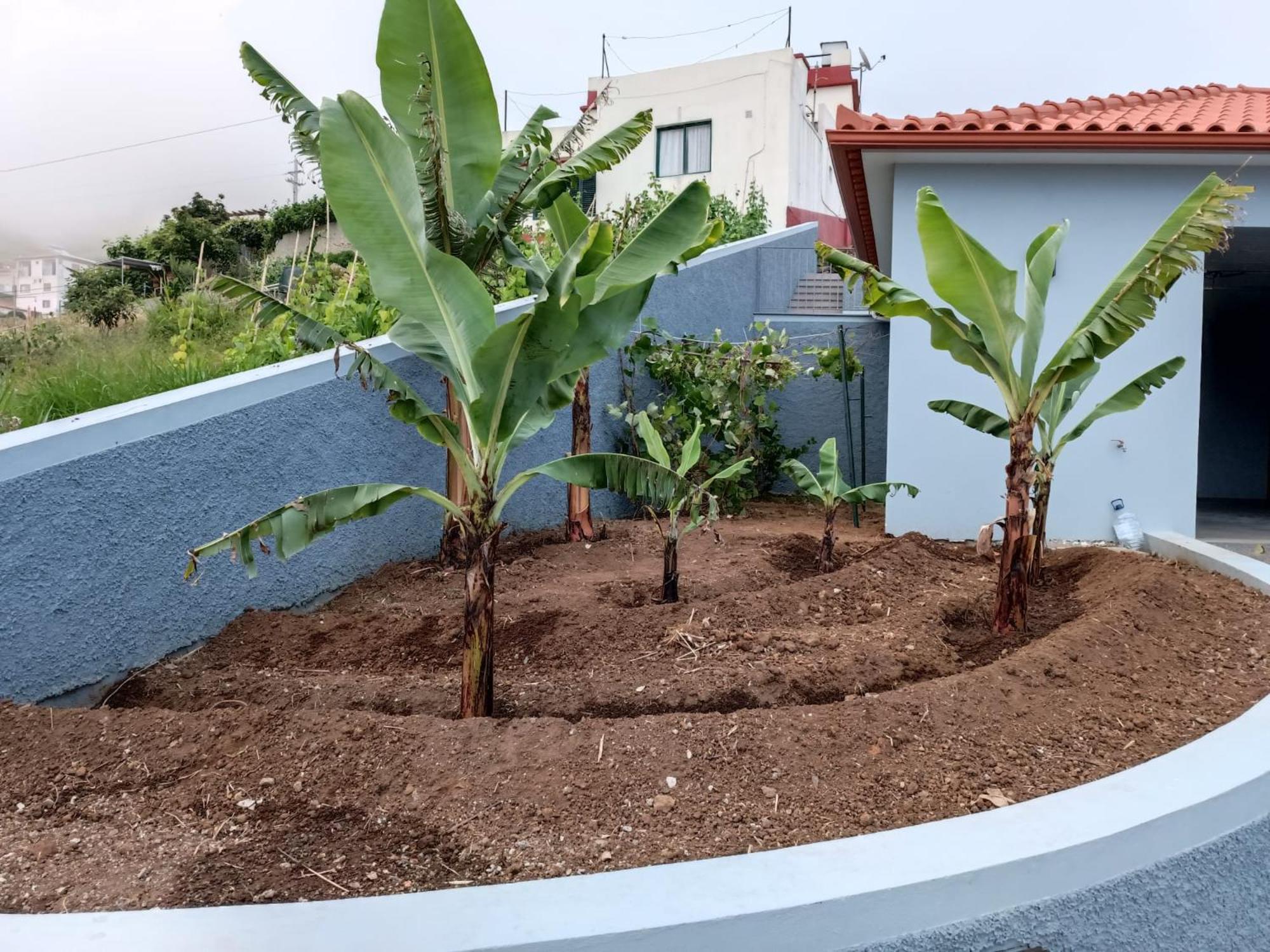 Calheta Paradise Holiday Home Arco da Calheta  Ngoại thất bức ảnh